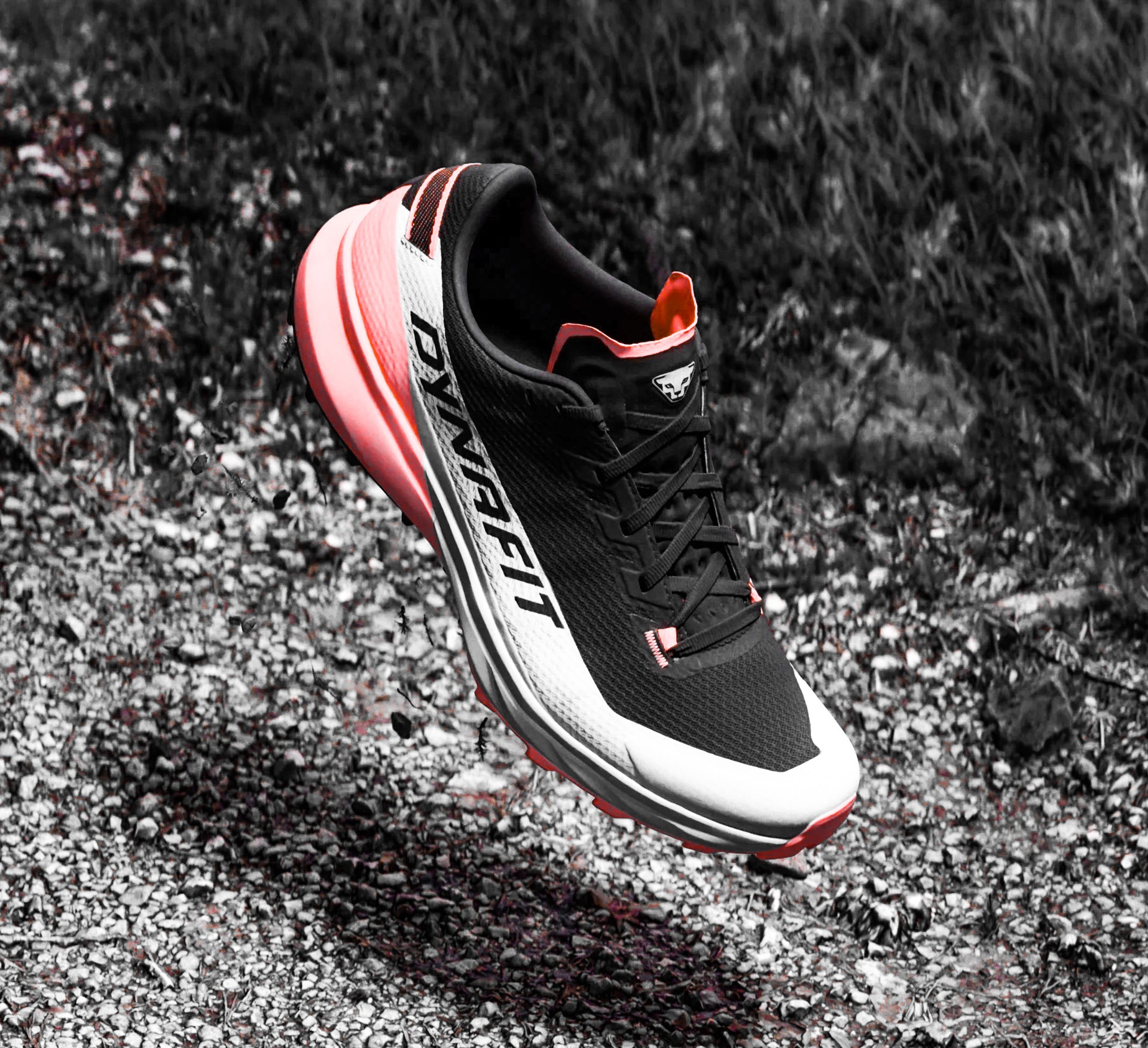 Dynafit Ultra vs NNormal Tomir 2.0 – o comparație completă pentru alergătorii de trail